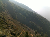 salghari comunity jungle
