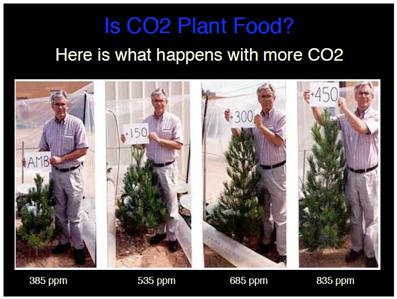 [Here+is+what+happens+with+more+CO2.jpg]