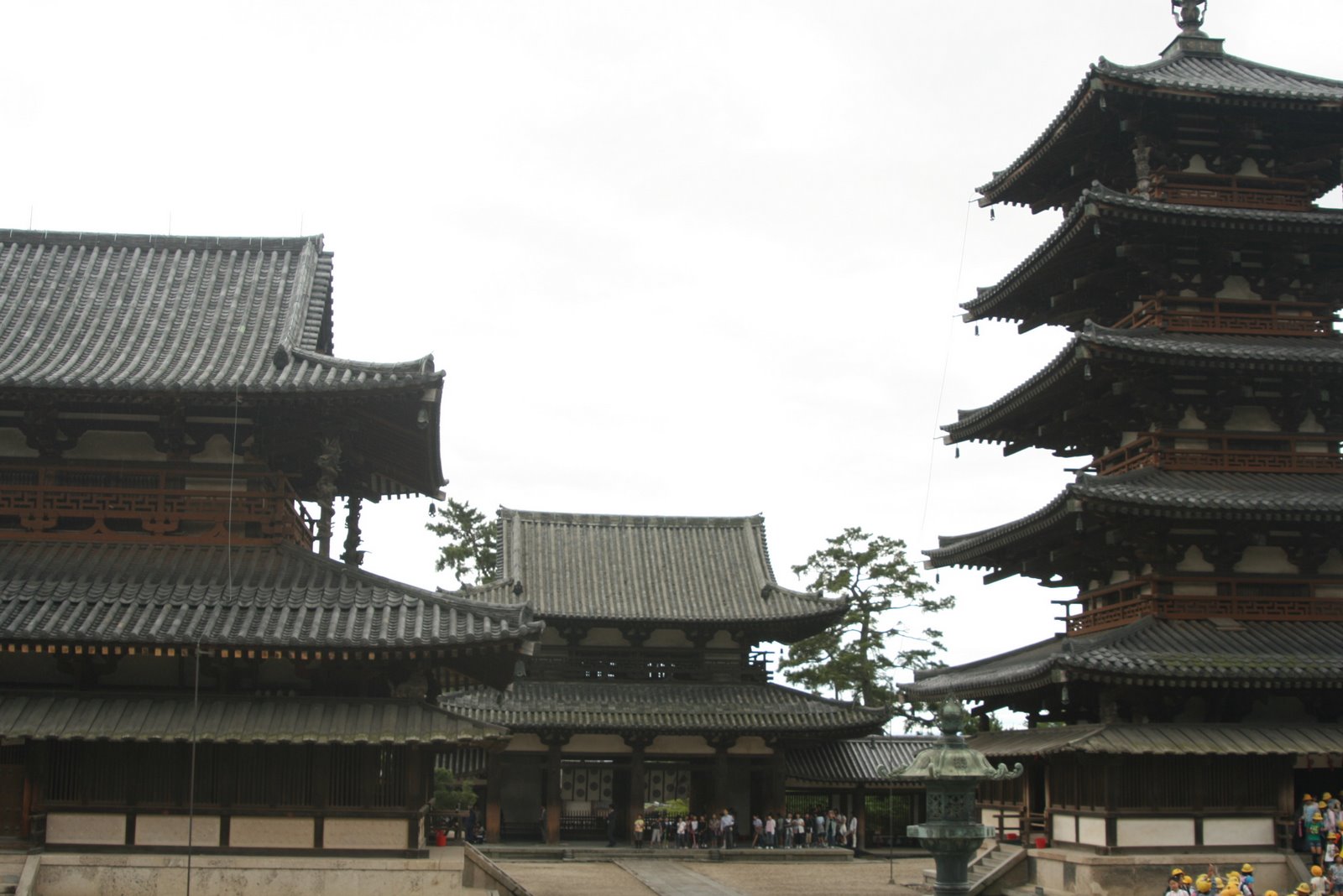 [IMG_5072.JPG]