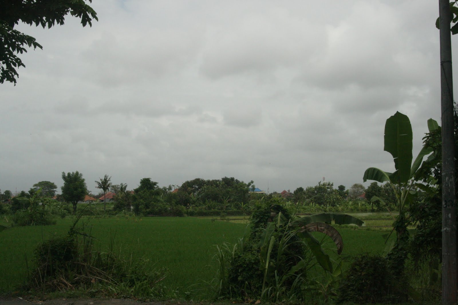 [IMG_7496.JPG]