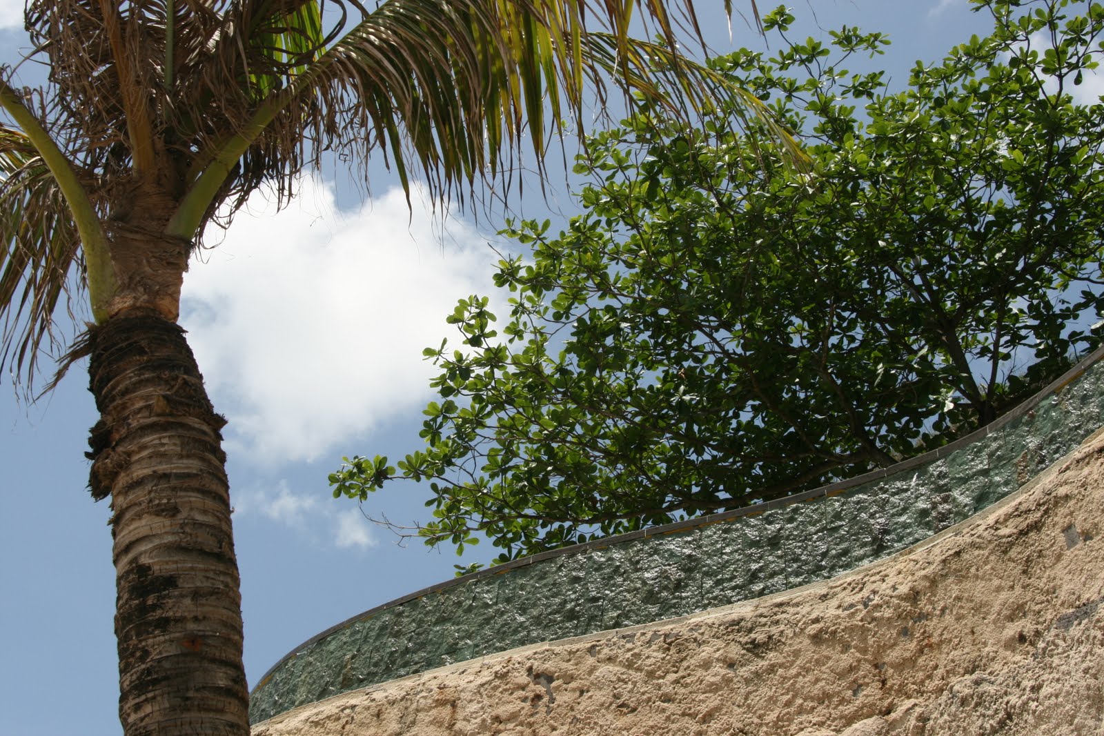 [IMG_7913.JPG]
