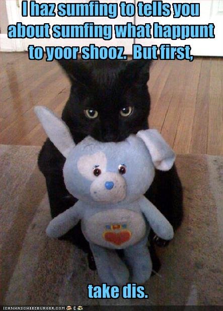 Black Cat Bday Memes Black Cat Bday Memes
