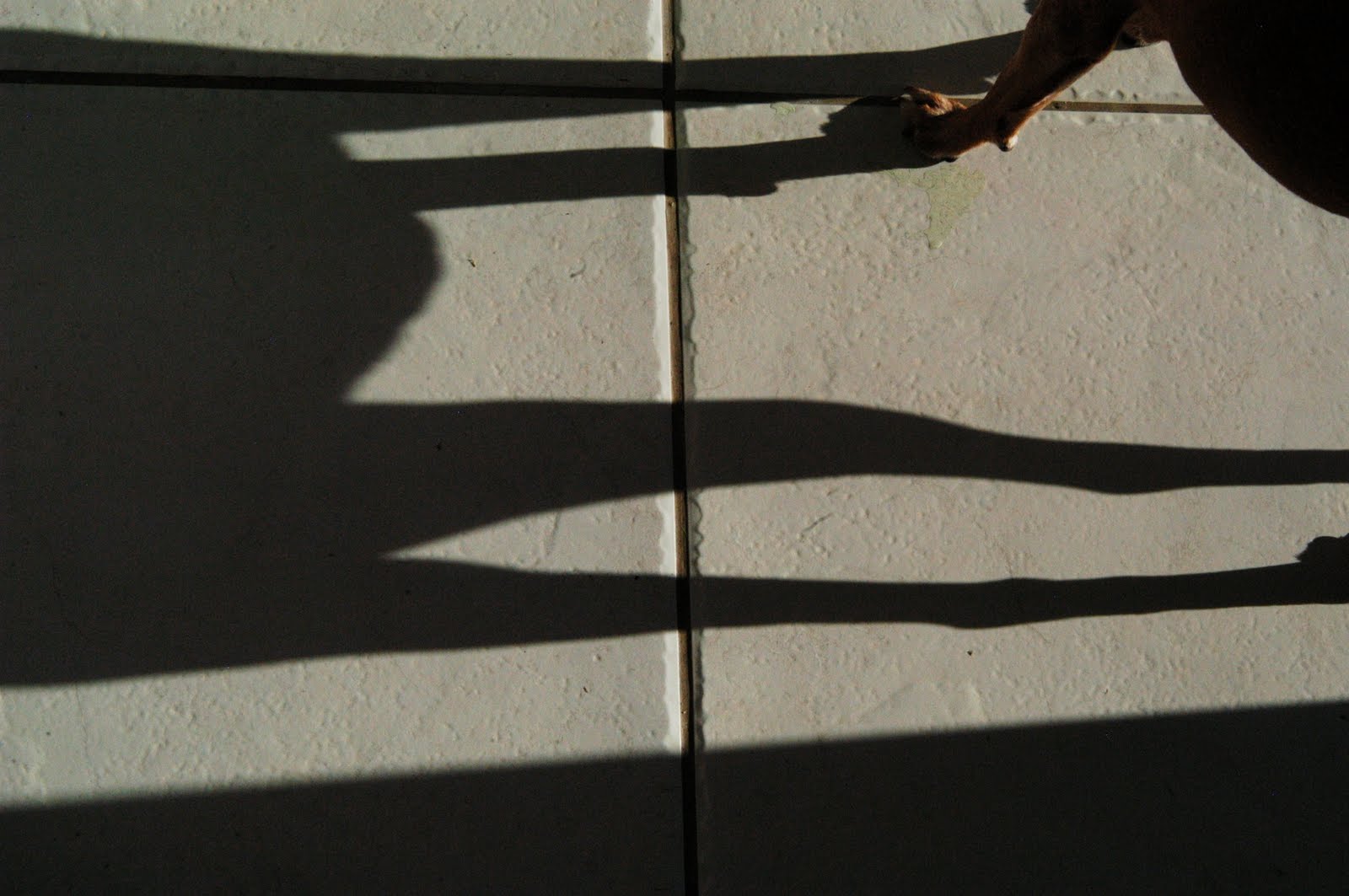 [o+sol+invadiu+1+(28).JPG]