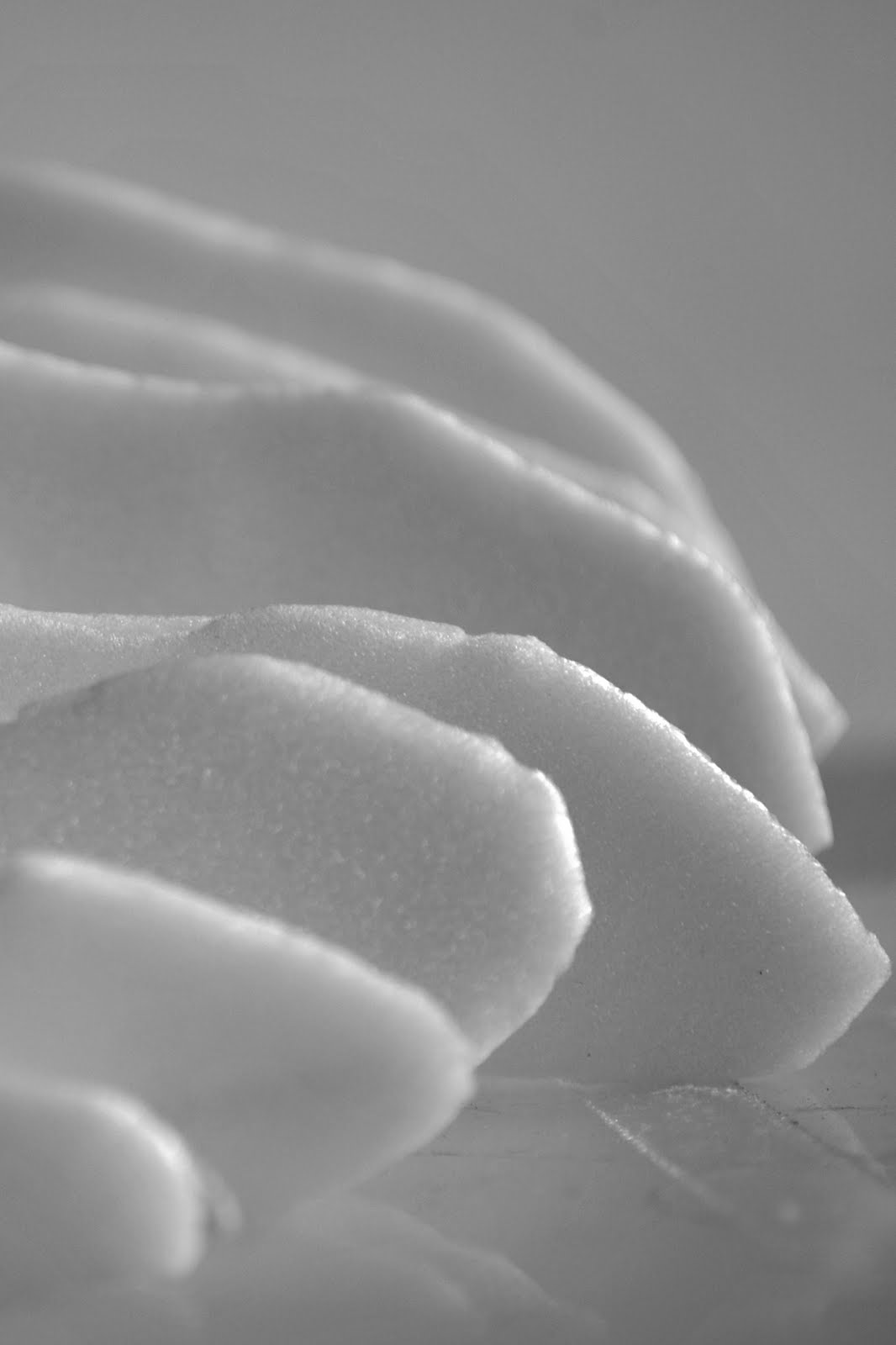 [pedra+branca+(19).JPG]