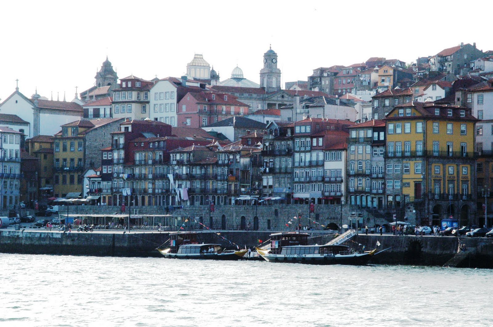 [DSC_0112.JPG]