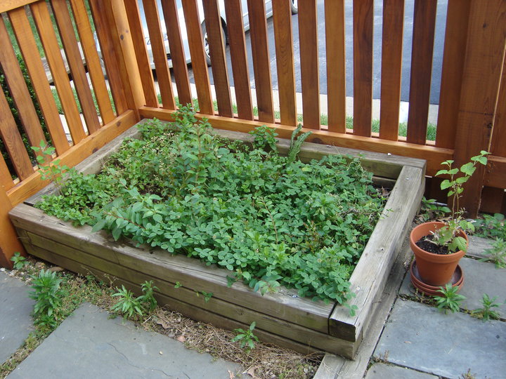 Small Vegetable Gardening