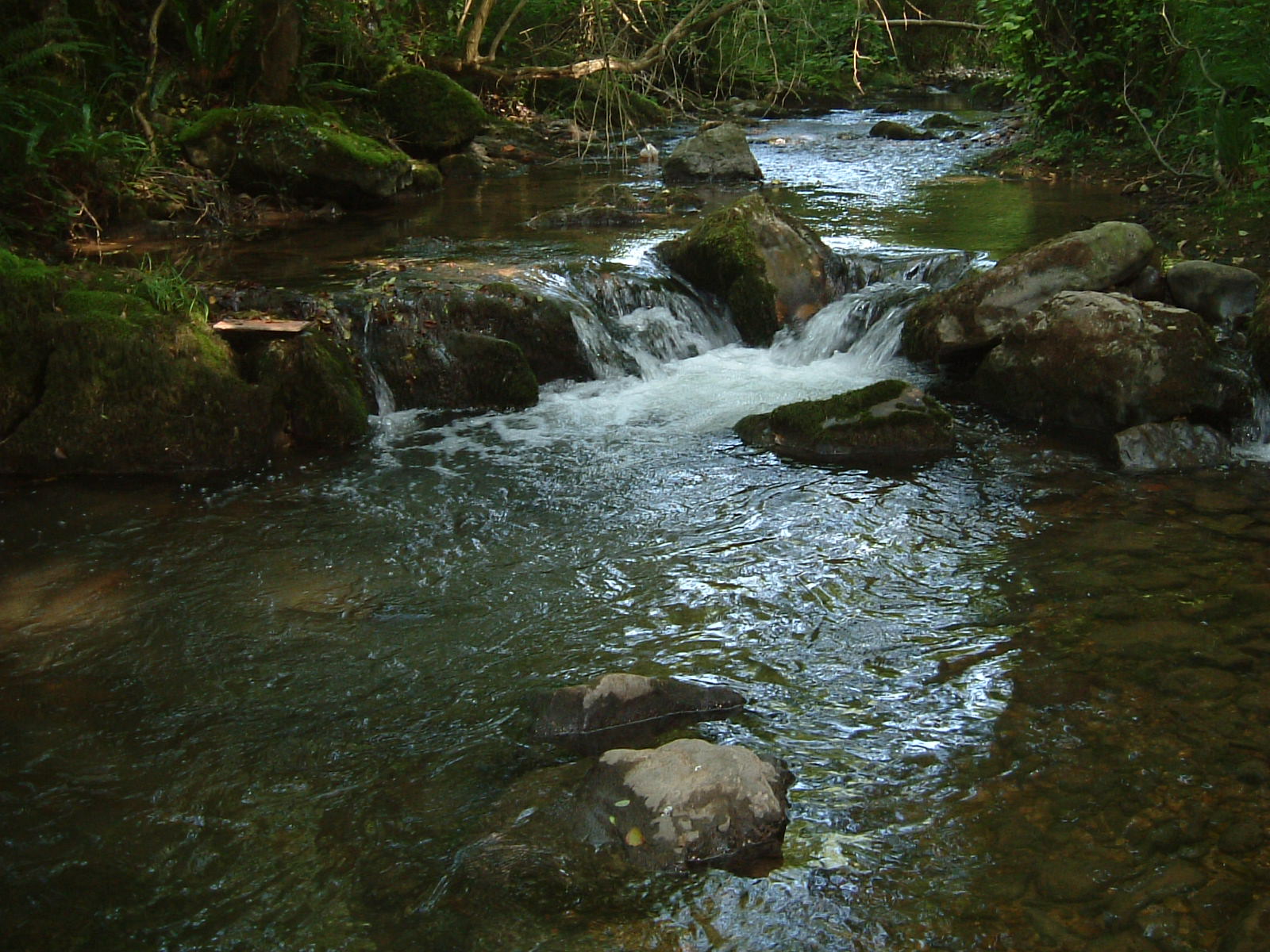 [bayo-12-6-2009-2.JPG]