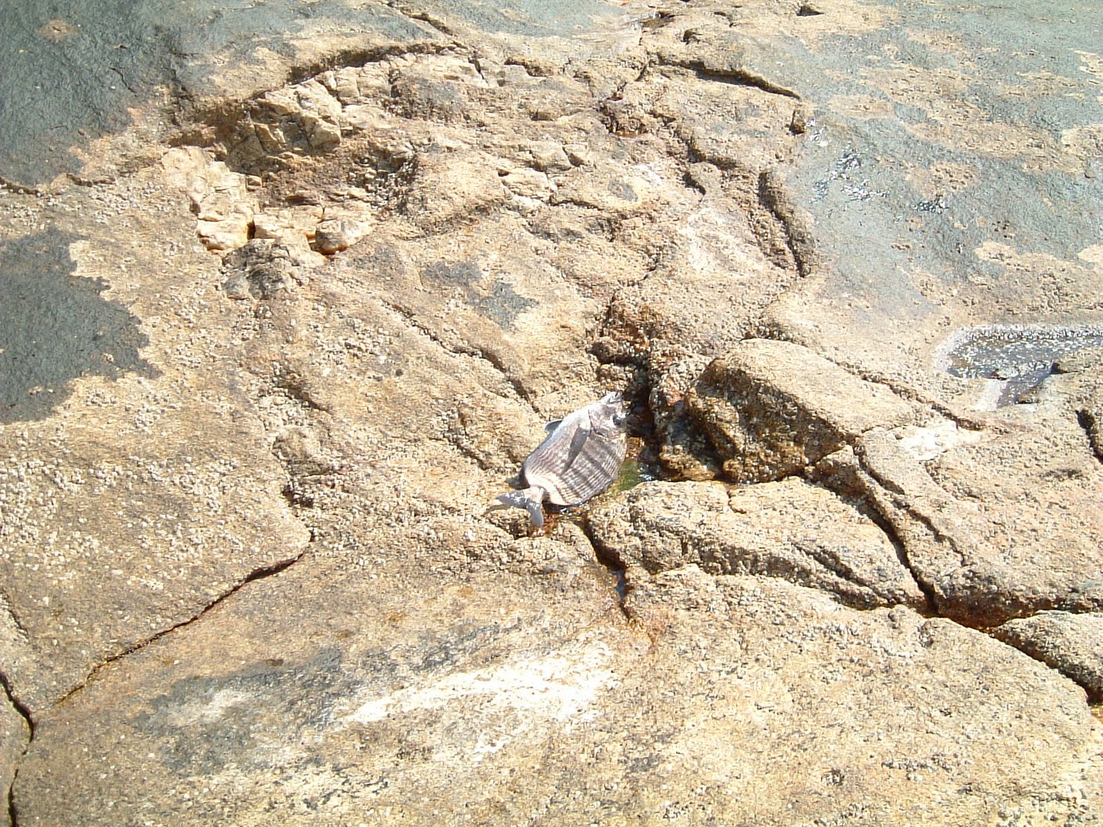 [DSCF0029.JPG]
