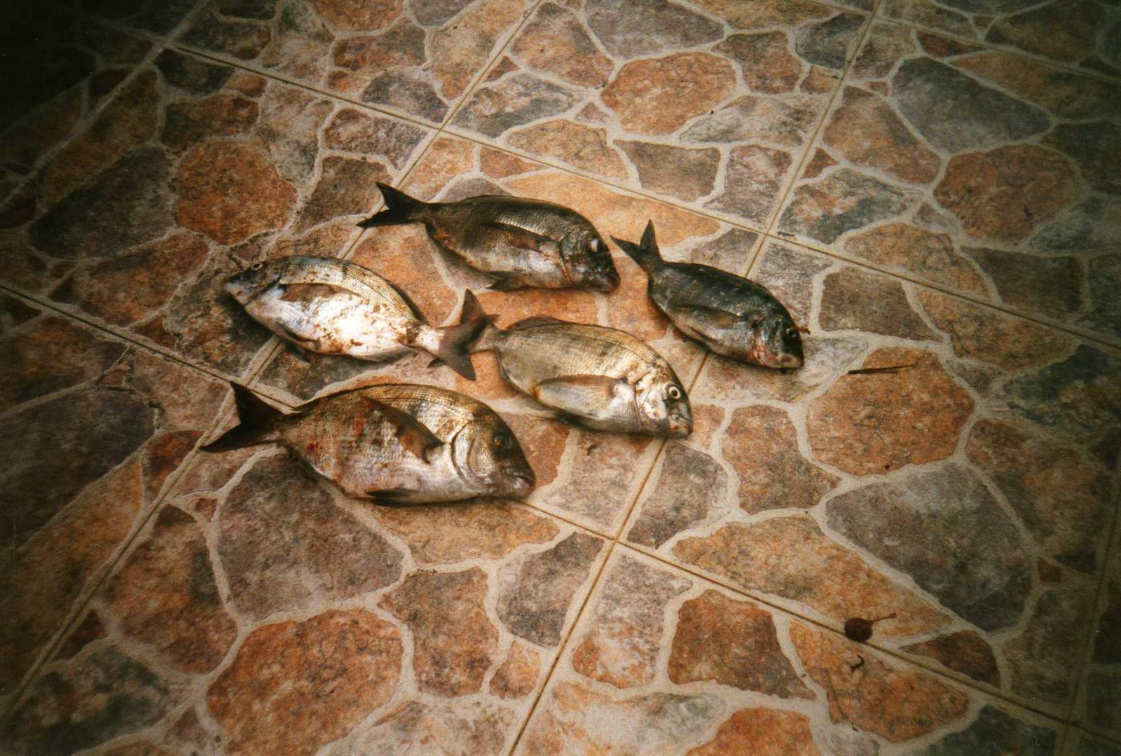 [img019.jpg]