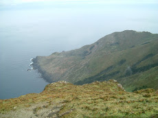 punta robalizeira