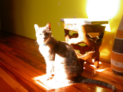 Fre Full Spider Man Game Download