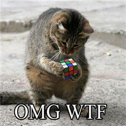[omg+wtf.aspx]