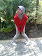 Foto saya