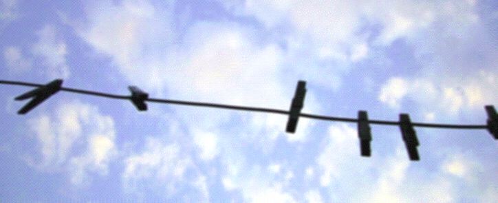 Picture Clothesline