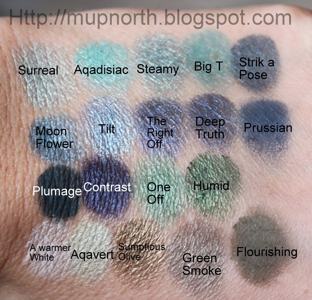Cosmetic Fashion MAC Eye Shadow Swatch