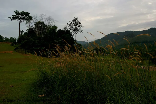 Padang Golf Raub