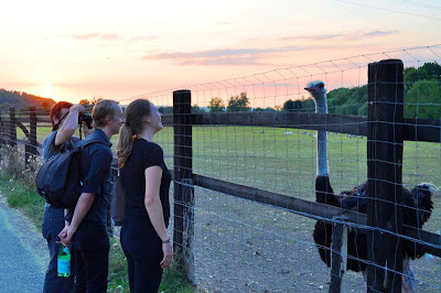 Photo of students overlooking a field