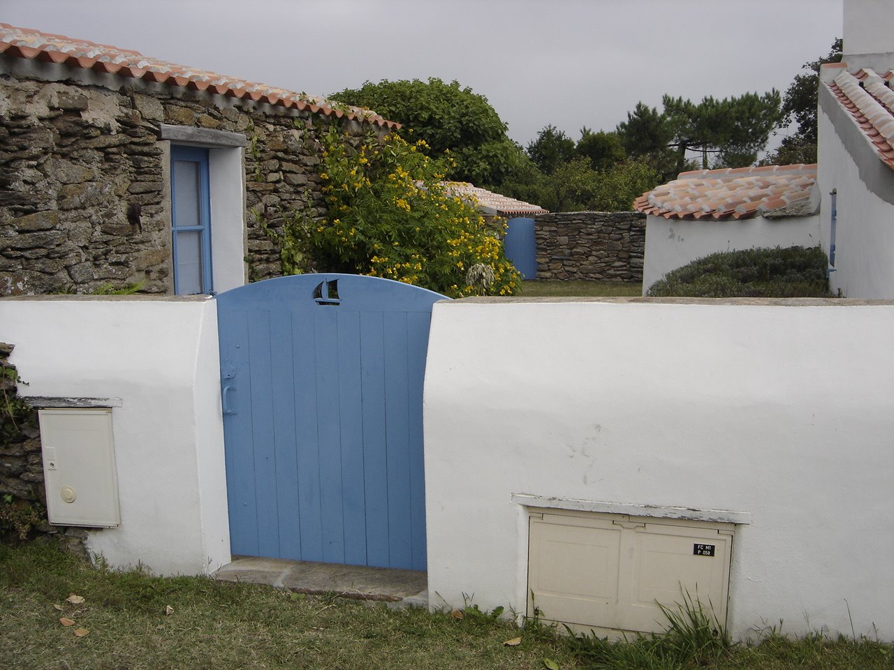 [DSC05448.JPG]