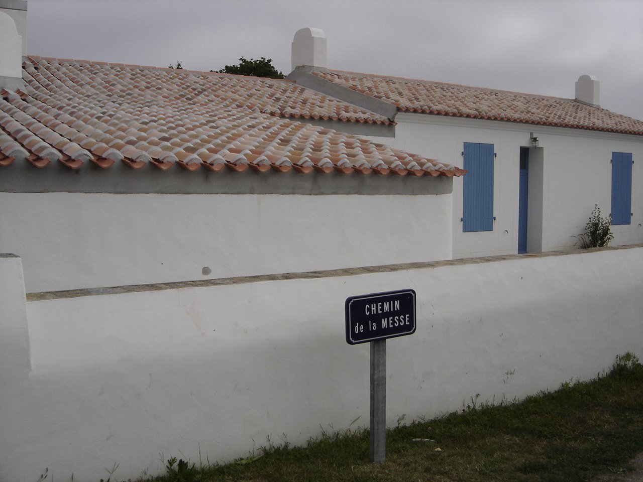 [DSC05447.JPG]