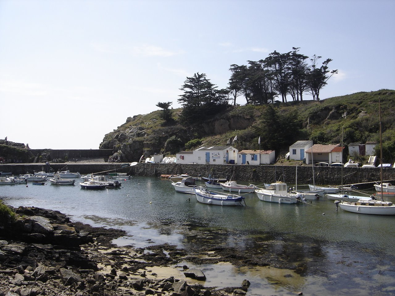 [DSC05466.JPG]