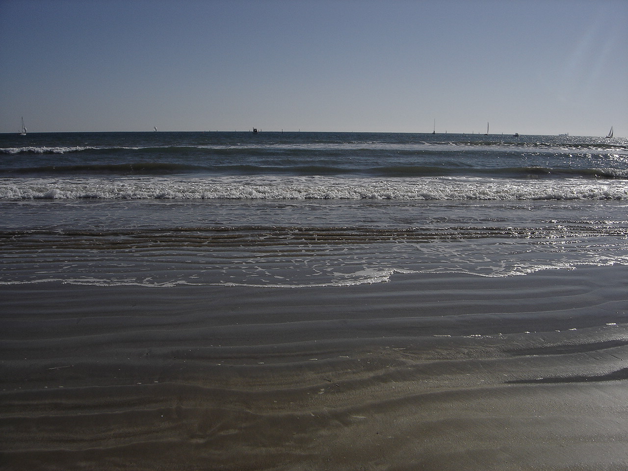 [DSC05946.JPG]