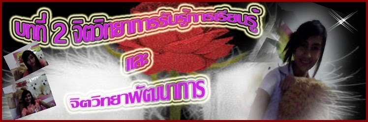 บทที่ 2