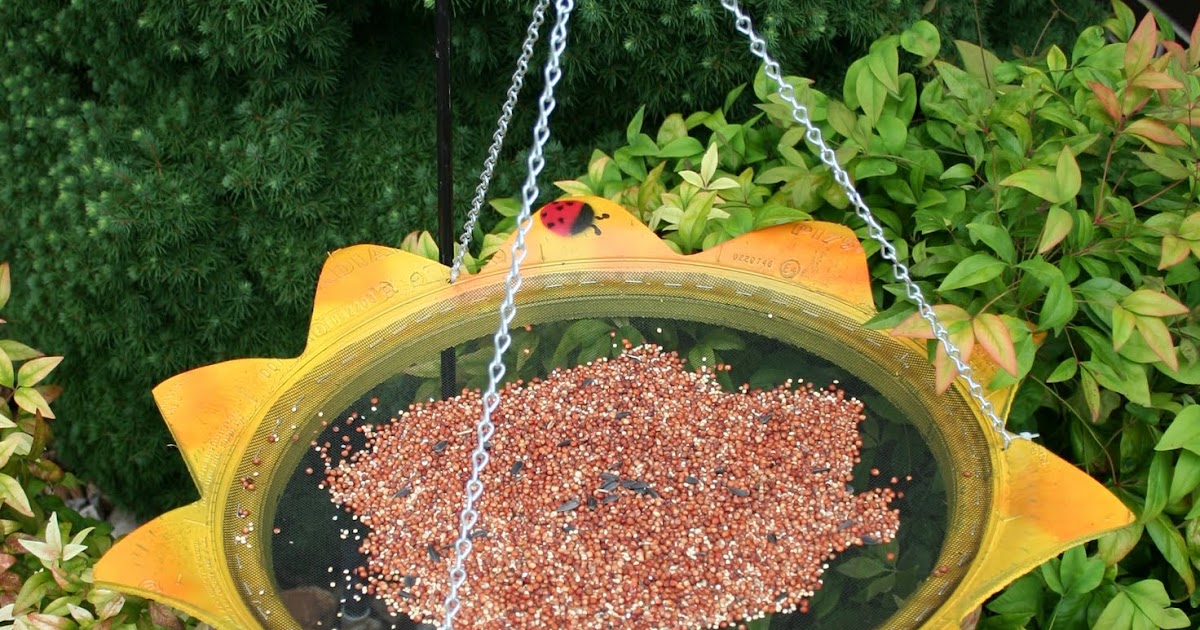 Tire Bird Feeders: Bird Feeders and Birdhouses made from unusual