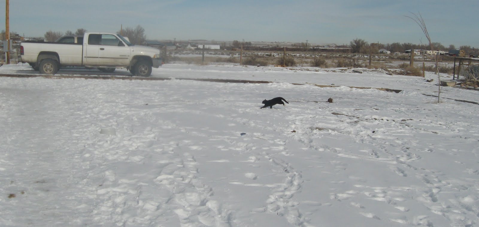 [IMG_0341_edited.JPG]