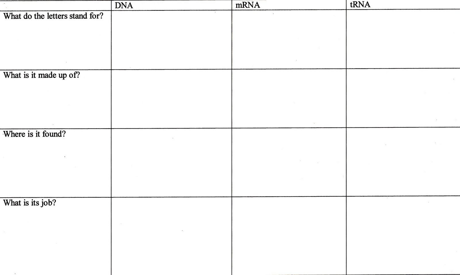 Science Tutor: Protein Synthesis - Graphic Organizer - Storyboarding