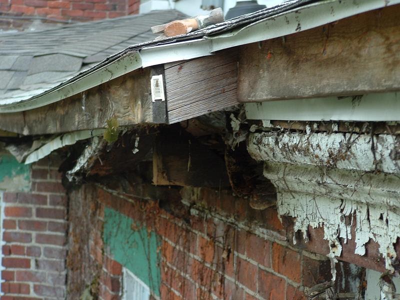 The House The old box gutters on the back section