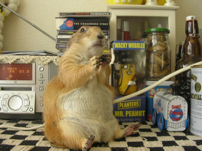 [21_pics_ziza-708705.jpg]