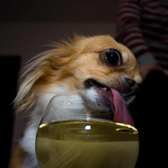 [22_pics_ziza-778910.jpg]