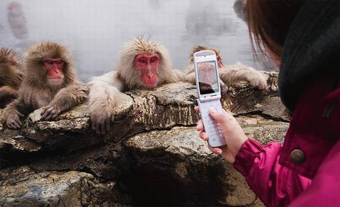 [26_pics_ziza-778169.jpg]