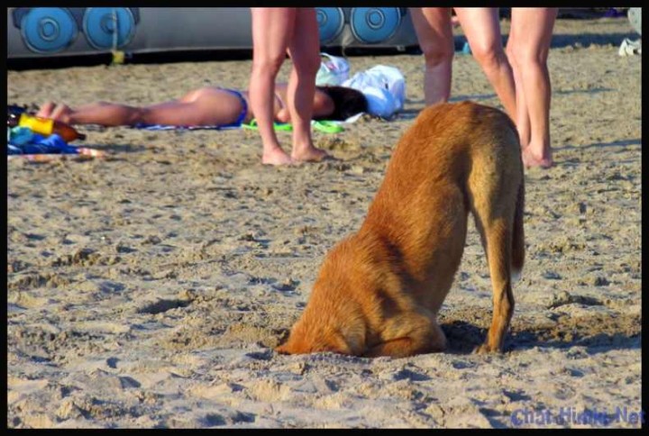 [12_pics_ziza-714174.jpg]