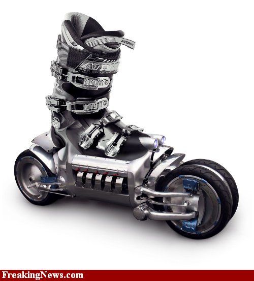 [50_pics_ziza-724398.jpg]