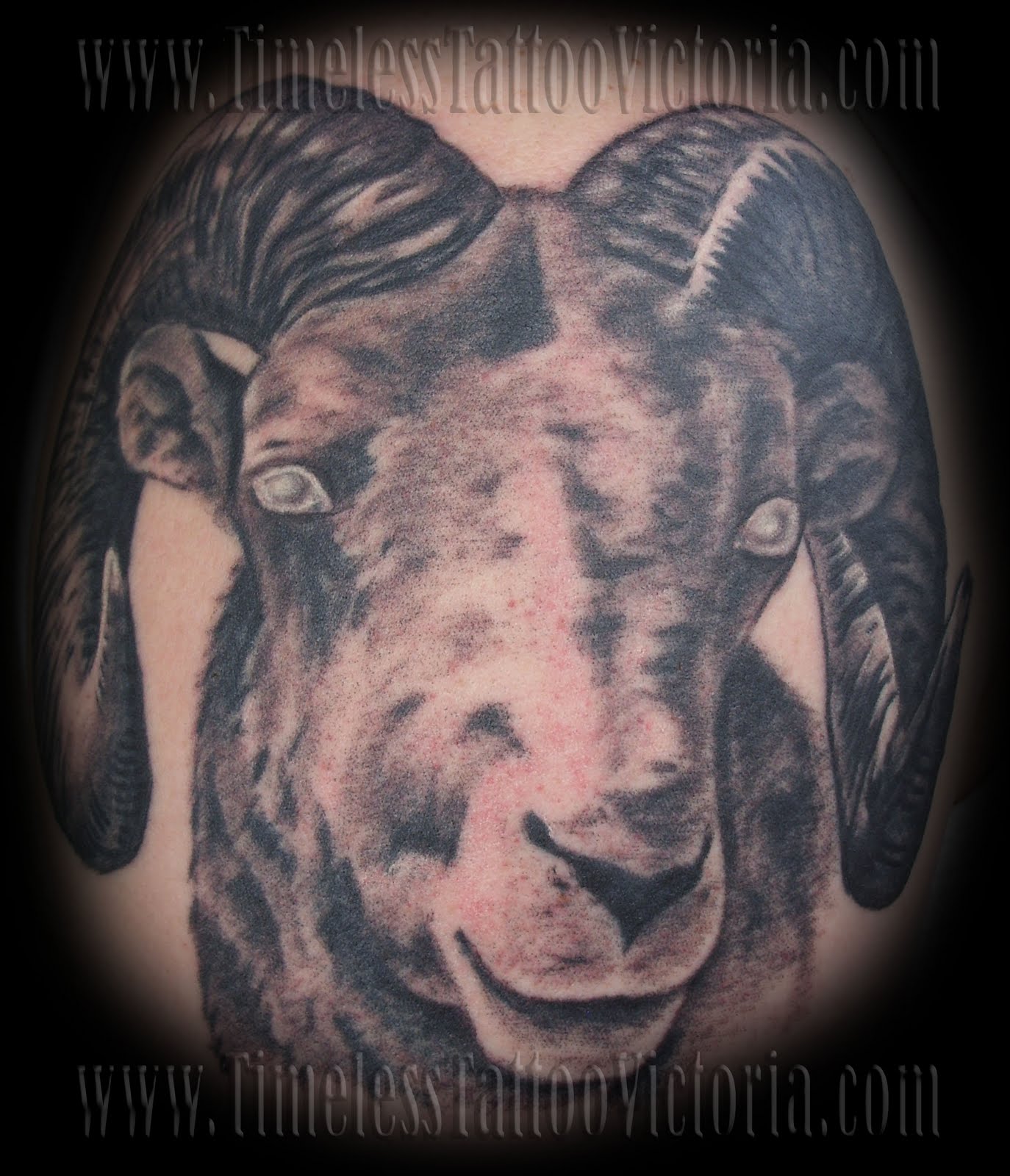Rams Head Tattoo