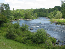 River scene