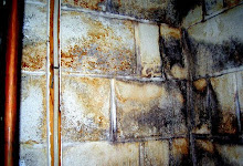 Mold In Basement