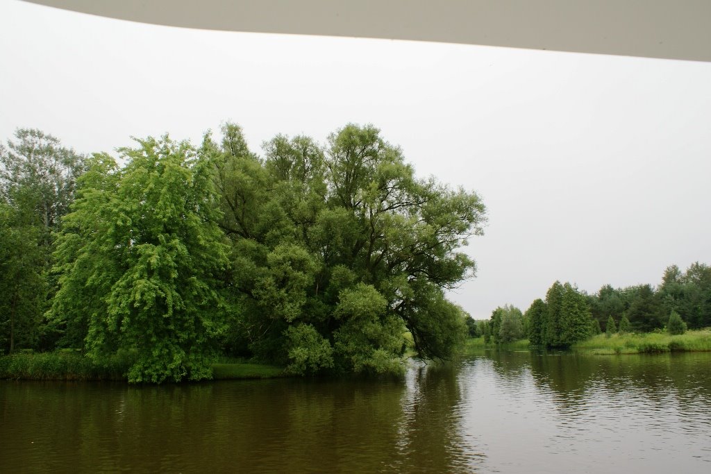 [DSC02847.jpg]