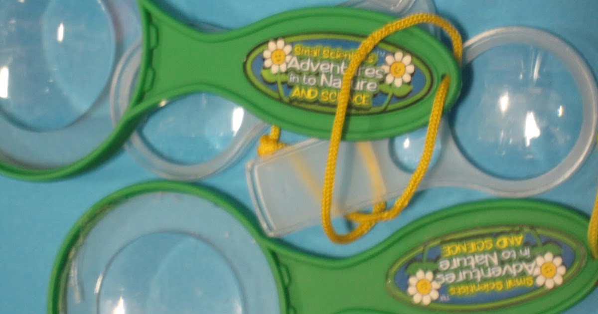 Excellence in Early Childhood Education: Science in the preschool classroom