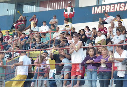 Amador 2010