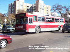 BIENVENIDOS A MENDOZA ARGENTINA