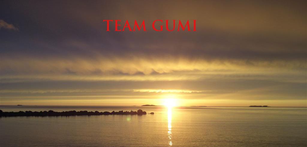 Team Gumi