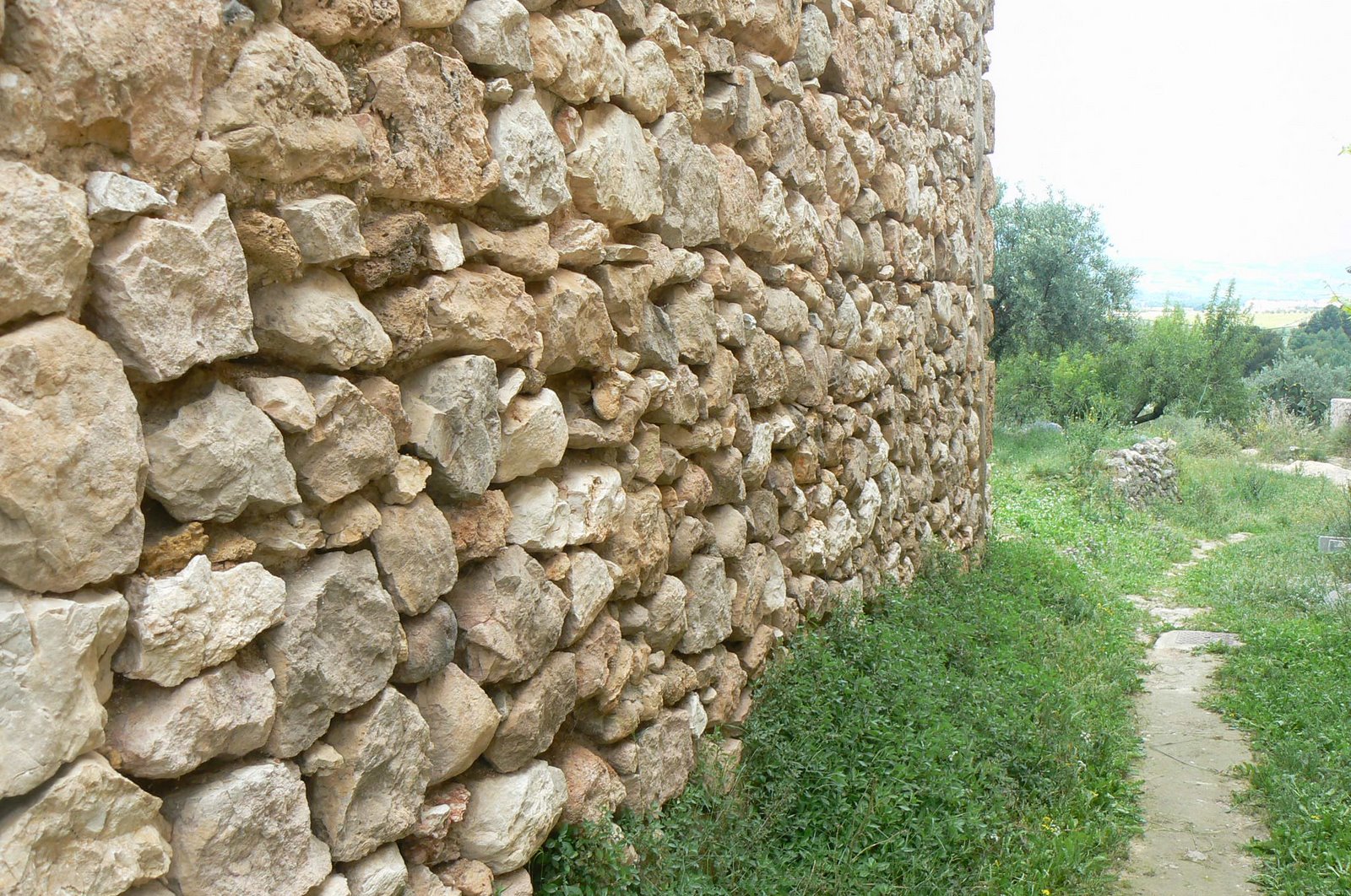 [P1090852.JPG]
