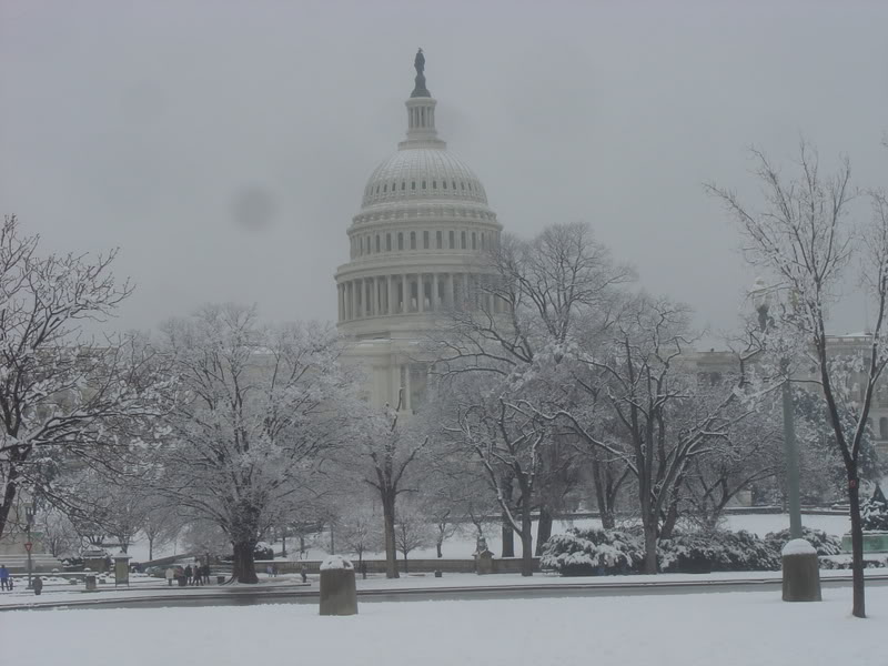 [WashingtonDC-CapitolBuildinginSnow.jpg]
