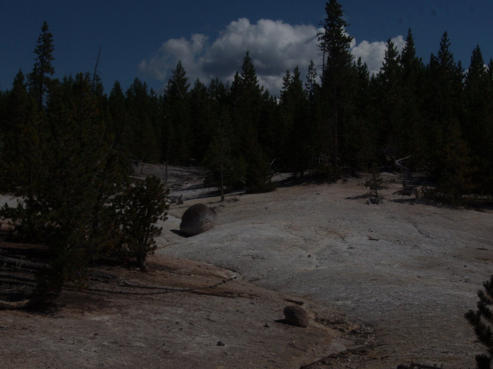 [8_yellowstone_northloop+(42).JPG]