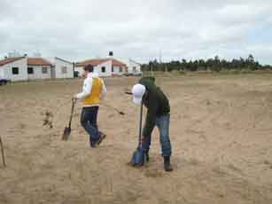 Se plantaron alrededor de cien árboles en el barrio Plan Federal de Costa Azul 2 arboles