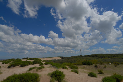 faro