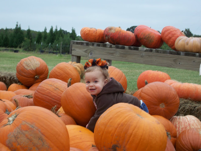 Pumpkin Farm 09