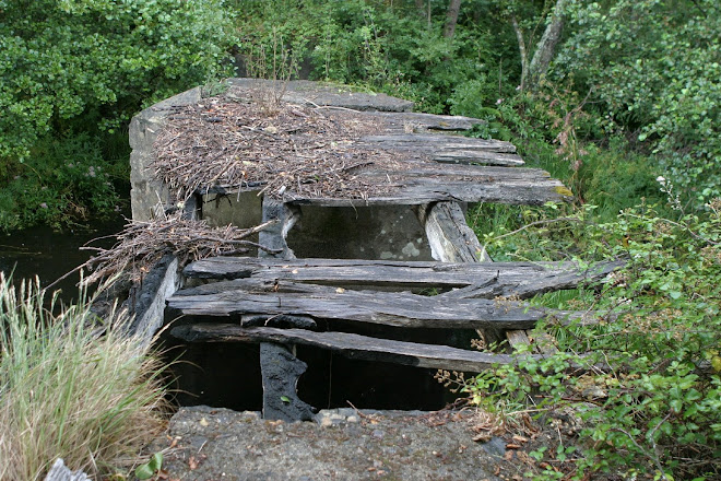 Río Furelos